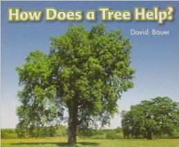 Lbd Gkb Nf How Does a Tree Help?