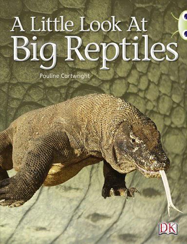 A Little Look at Big Reptiles NF
