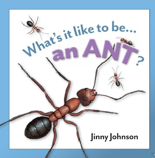 What's it like to be an Ant