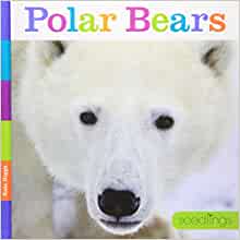 Polar Bears (Seedlings)