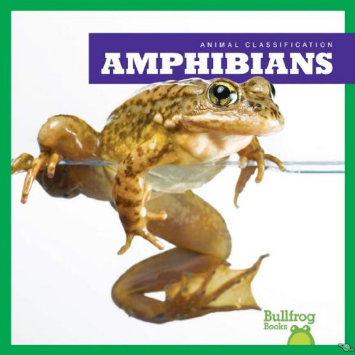 Amphibians