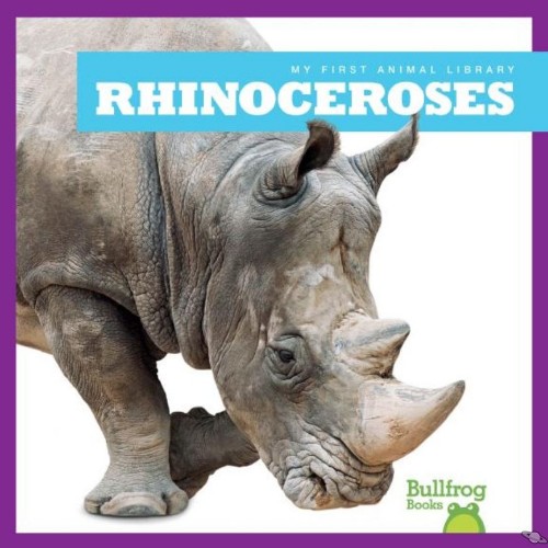 Rhiniceroses
