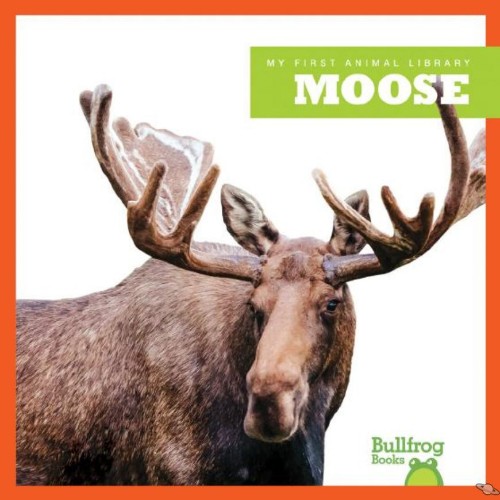 Moose