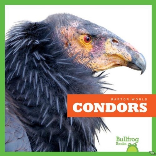 Condors