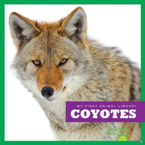 Coyotes