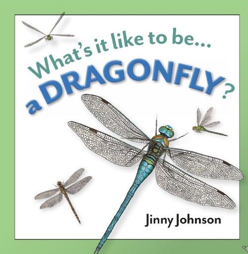 What's it like to be a Dragonfly