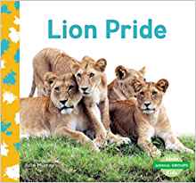 Lion Pride (Animal Groups)
