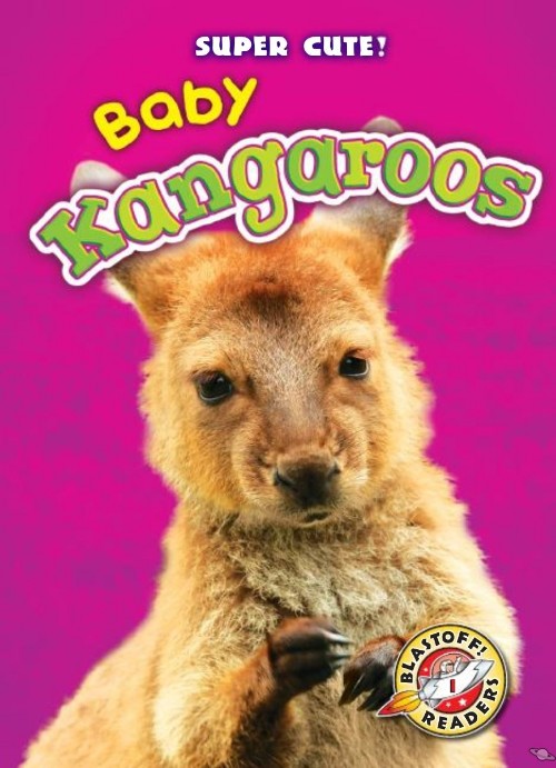 Baby Kangaroos
