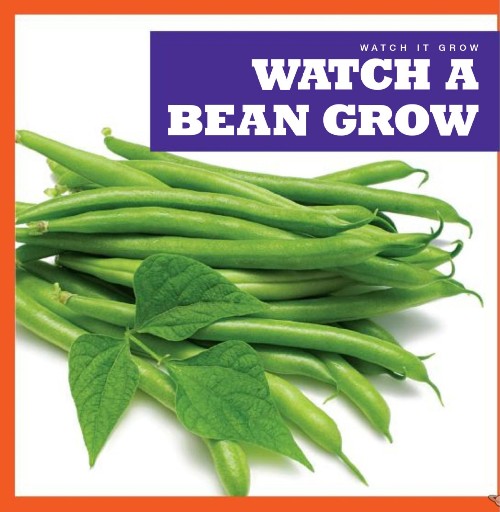Watch a Bean Grow