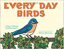 Every Day Birds