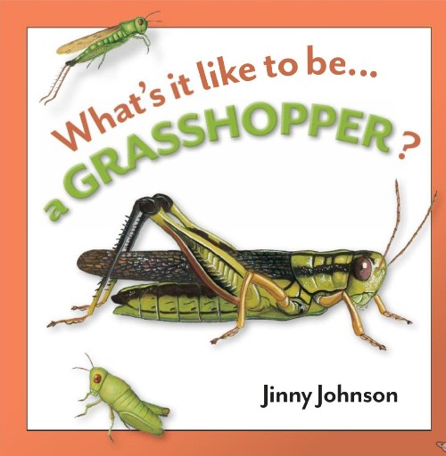 What's it like to be a Grasshopper