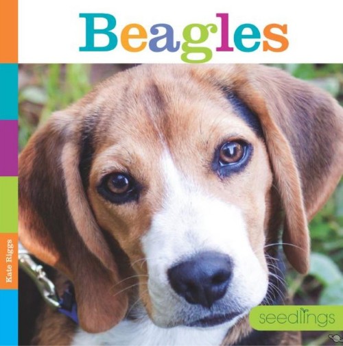 Beagles