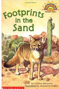 Footprints in the Sand