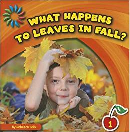 What Happens to Leaves in Fall?