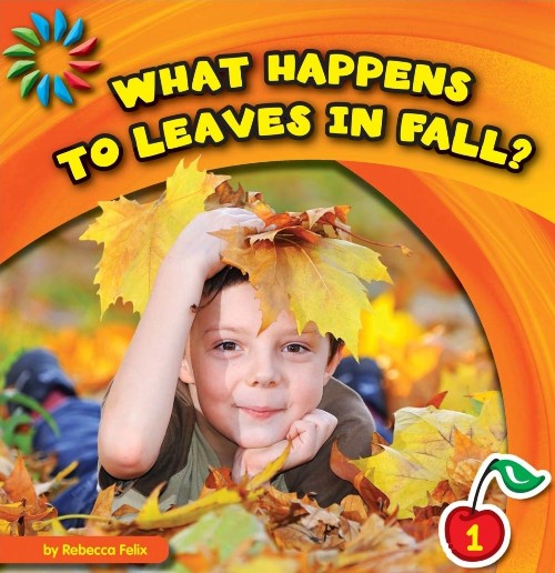 What Happens to Leaves in Fall
