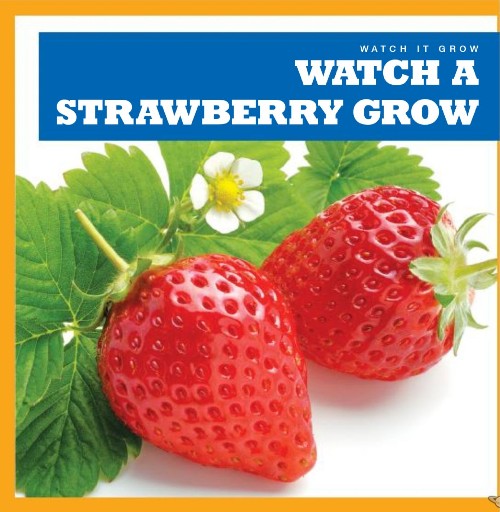 Watch a Strawberry Grow