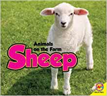 Sheep (Animals on the Farm)