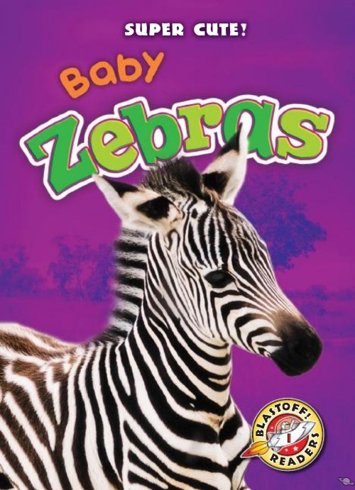 Baby Zebras