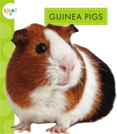 Guinea Pigs