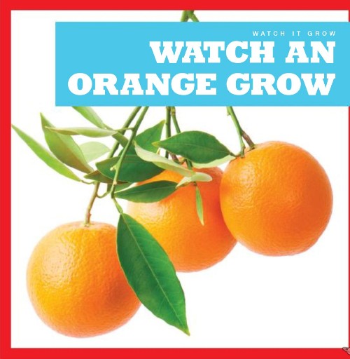Watch an Orange Grow