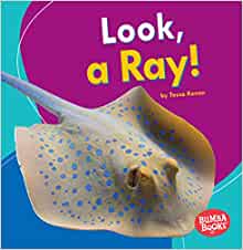 Look, a Ray! (Bumba Books (R) -- I See