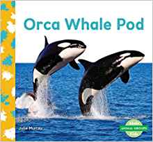 Orca Whale Pod (Animal Groups)
