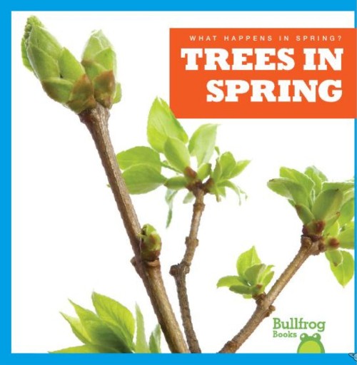 Trees in Spring