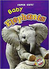 Baby Elephants (Blastoff Readers. Leve