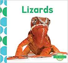 Lizards (I Like Animals!)