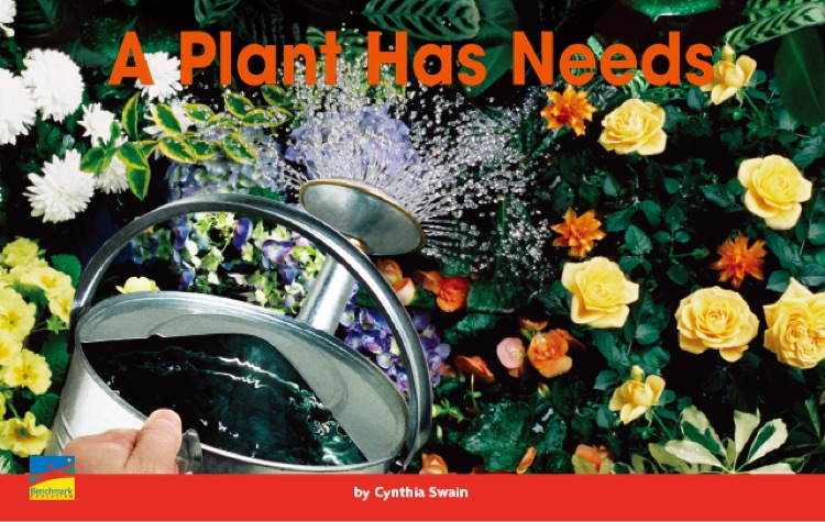 a plant has needs