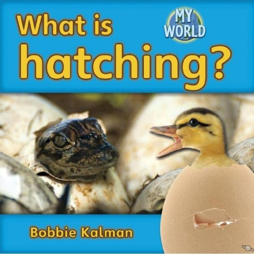 What is hatching