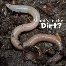 What's in the Soil? (Little Pebble: Wh