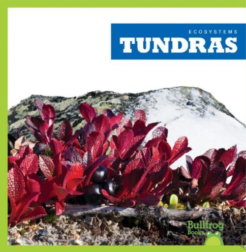 Tundras