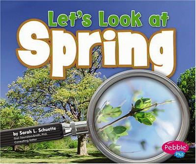 Let's Look at Spring