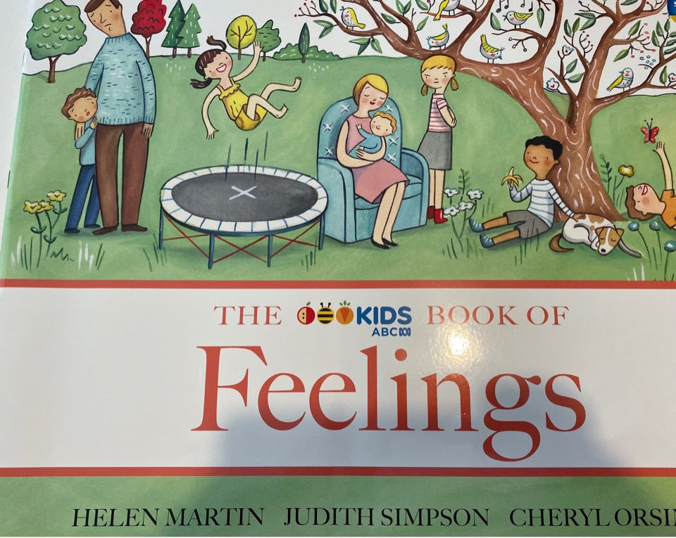 The book of feelings
