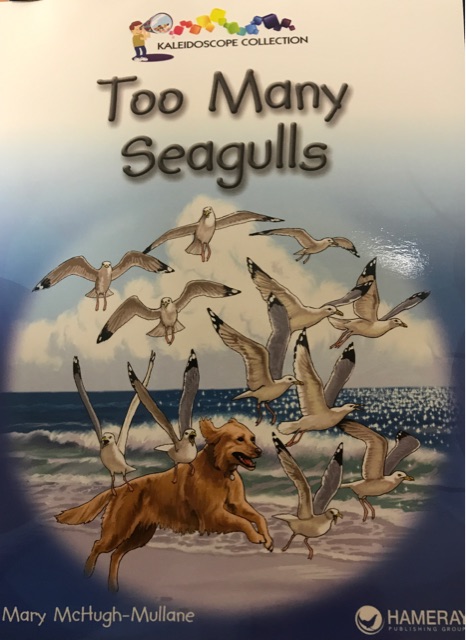 Too many seagulls