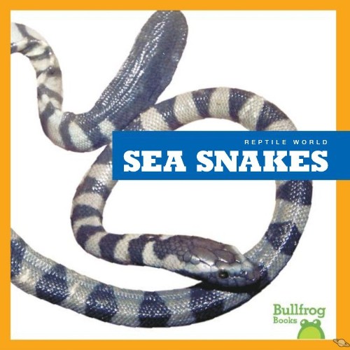 Sea Snakes