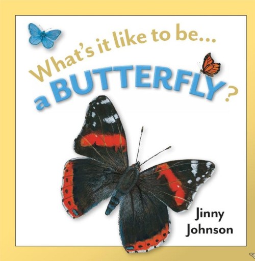 What's it like to be a Butterfly