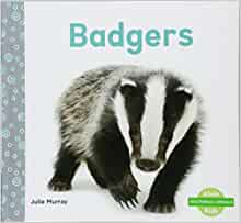 Badgers (Nocturnal Animals (Abdo Kids 
