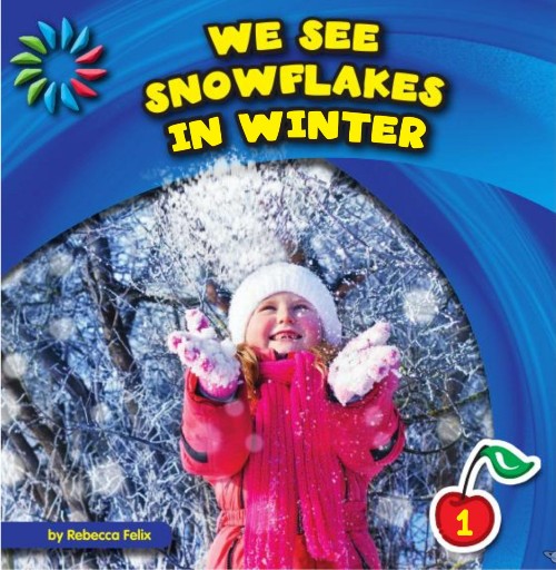 We See Snowflakes in Winter