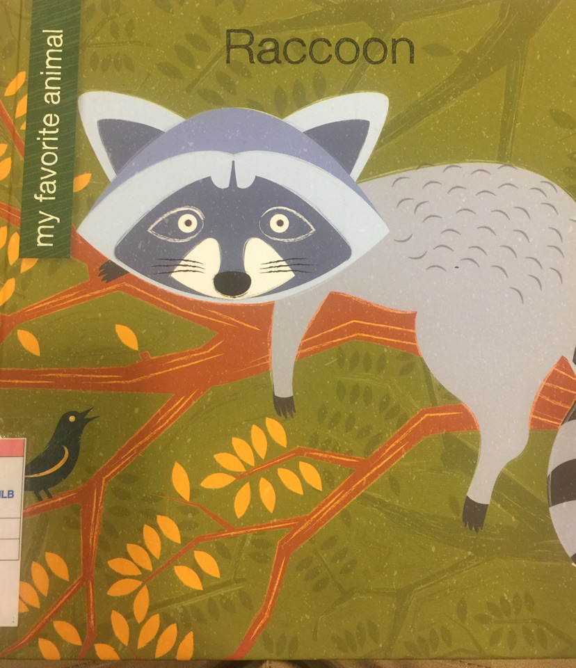 Raccoon