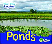 Ponds (Water, Water Everywhere!)