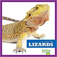 Lizards (My First Pet)