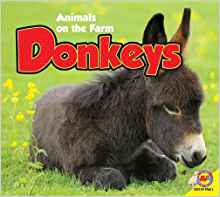 Donkeys (Animal on the Farm)