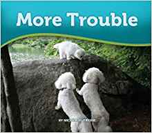 More Trouble