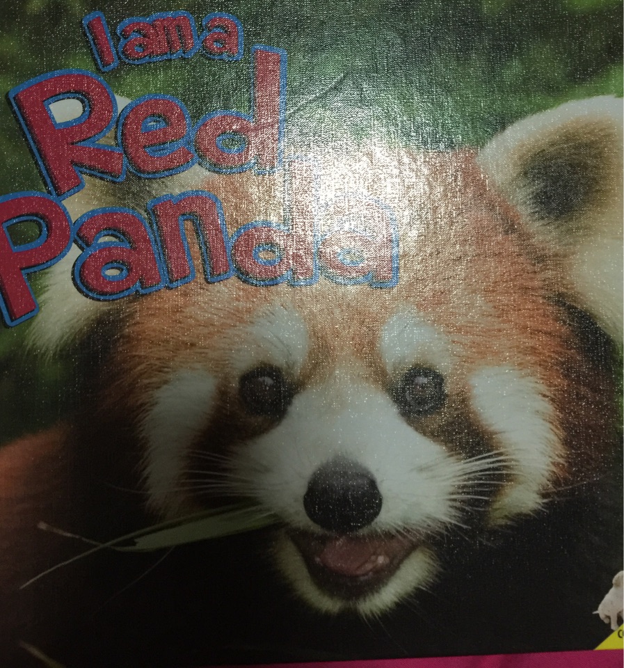 I am a Red Panda