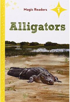 Alligators: Level 1
