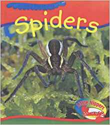 Little Nippers: Creepy Creatures Spide