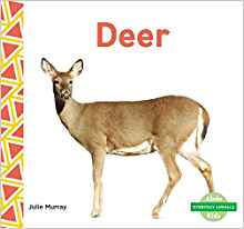 Deer (Everyday Animals)