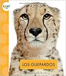Los Guepardos (Animales Africanos) (Sp